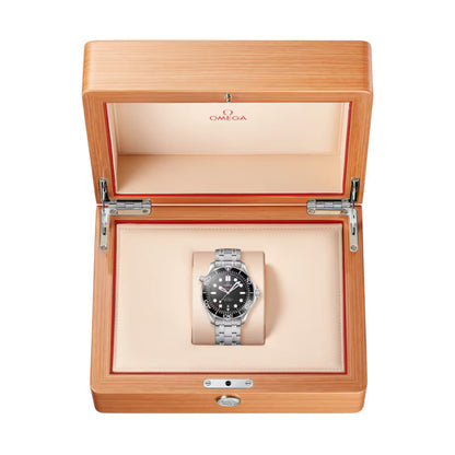 Seamaster Professional Diver 300M