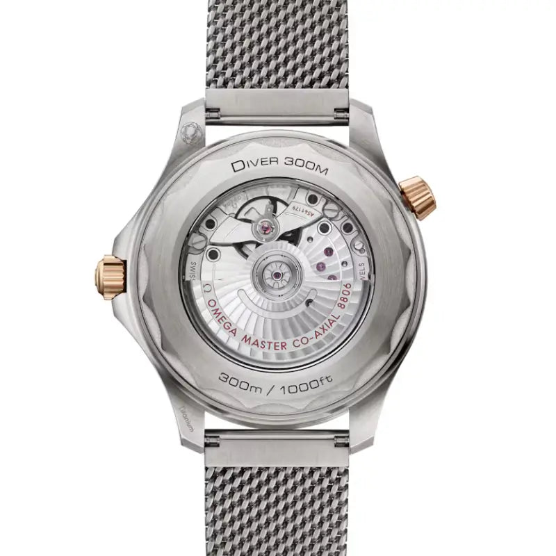 Seamaster Diver 300M