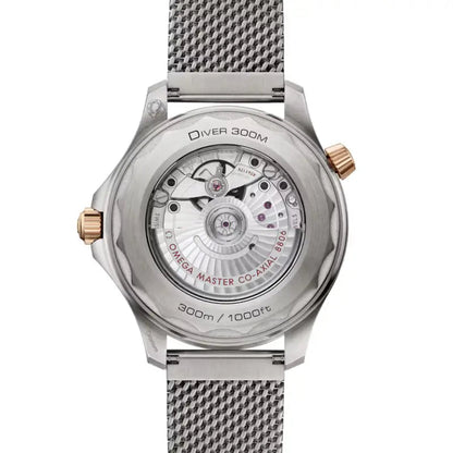 Seamaster Diver 300M